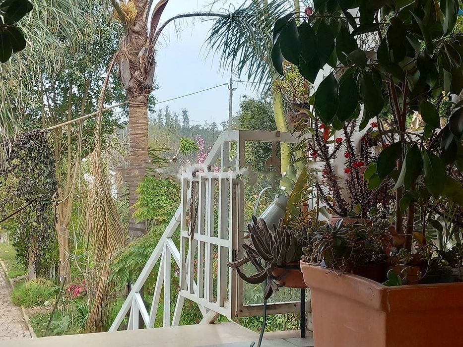 Vivenda Quinta Botânica - área 6000m2