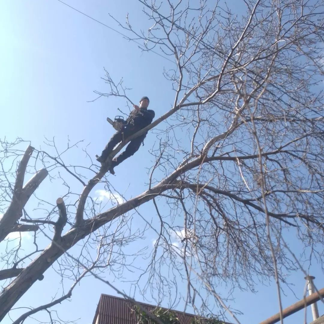Знаем свое дело..Расчистка,приведение в порядок уборка участков.