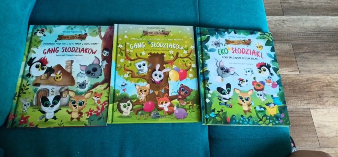 17 szt książek z gangów biedronki