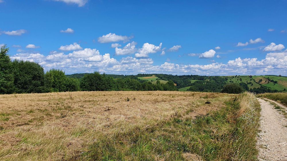 Działki Widokowe Gospodarstwo Rolne 5,2 Ha Łubno Koło Dynów