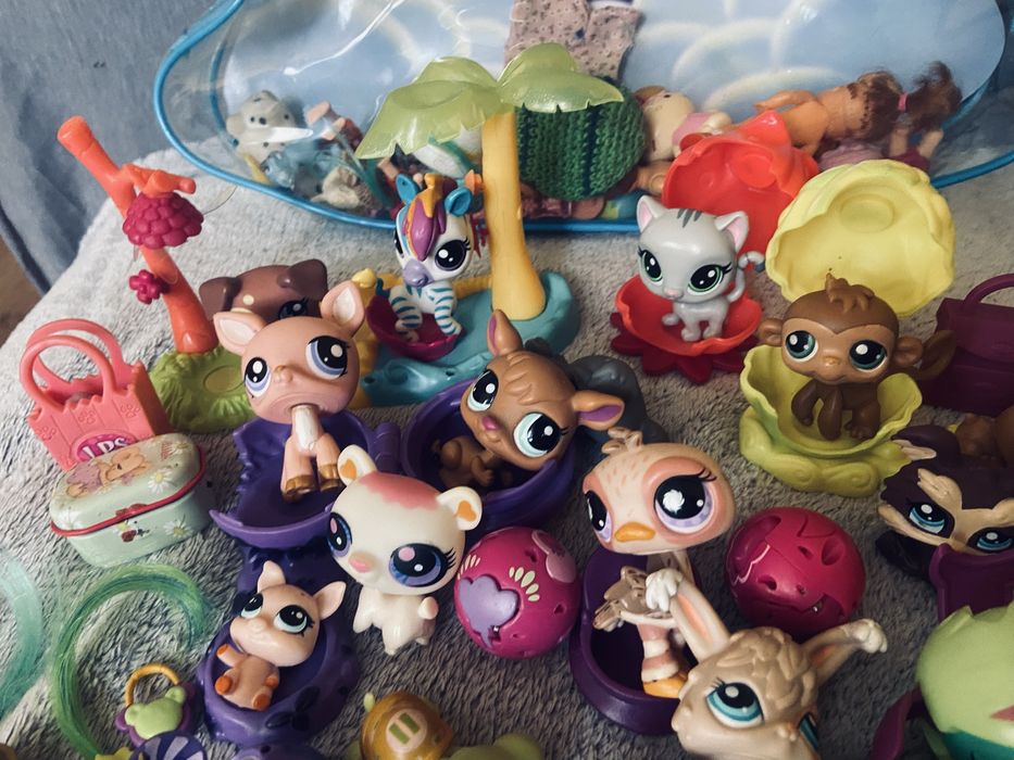 Zestaw zoobles 48 szt plus akcesoria