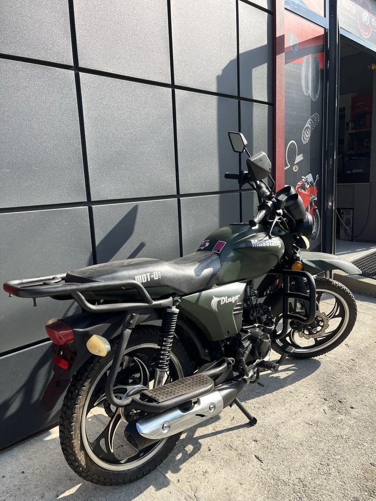 Мустанг Dingo Б/У 125