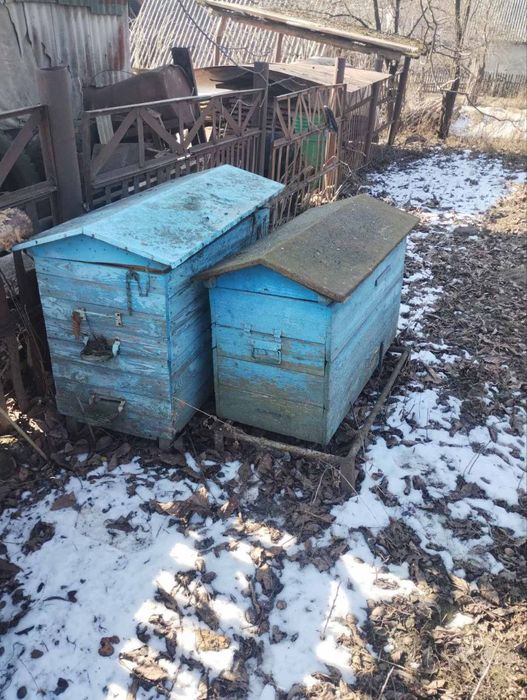 Продам вулики. Ціна договірна