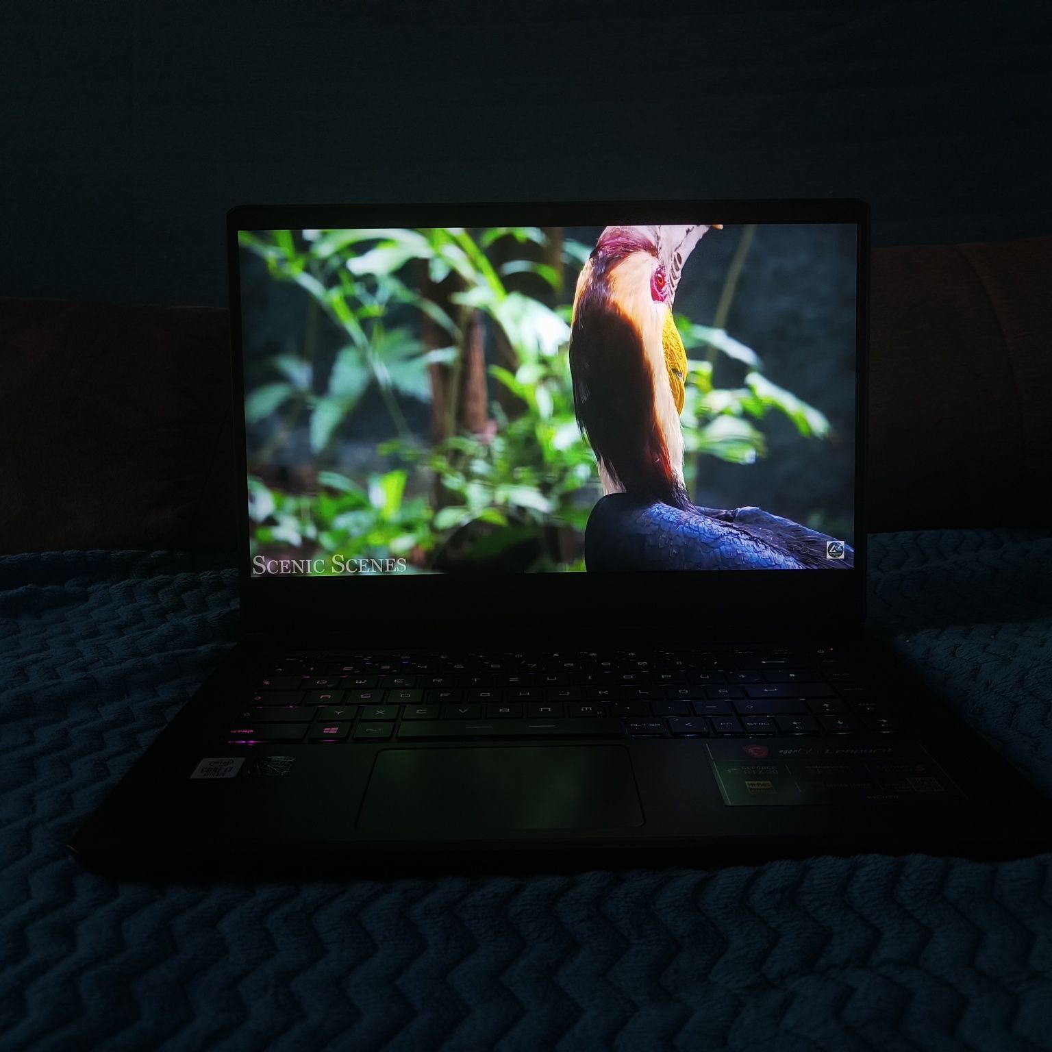 RTX 3070 MSI Leopard GP66 10UG-410
