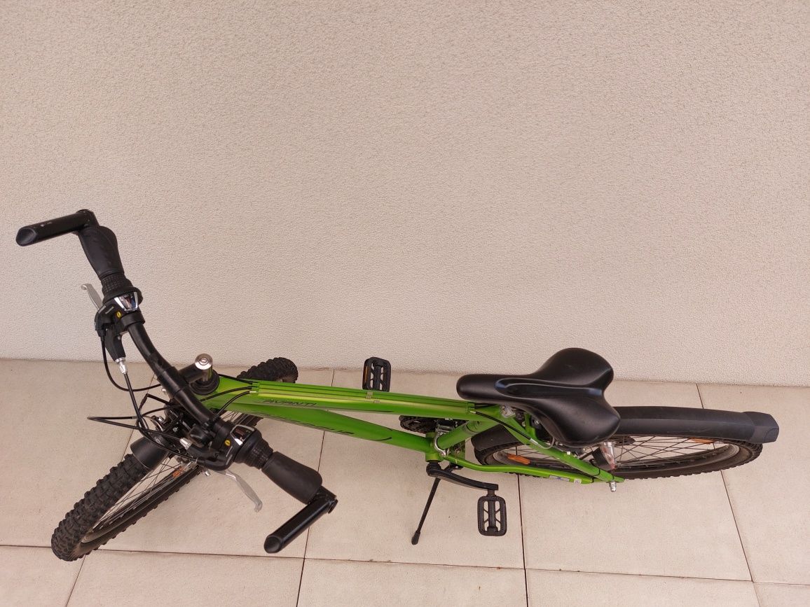 Pegasus Avanti 26"