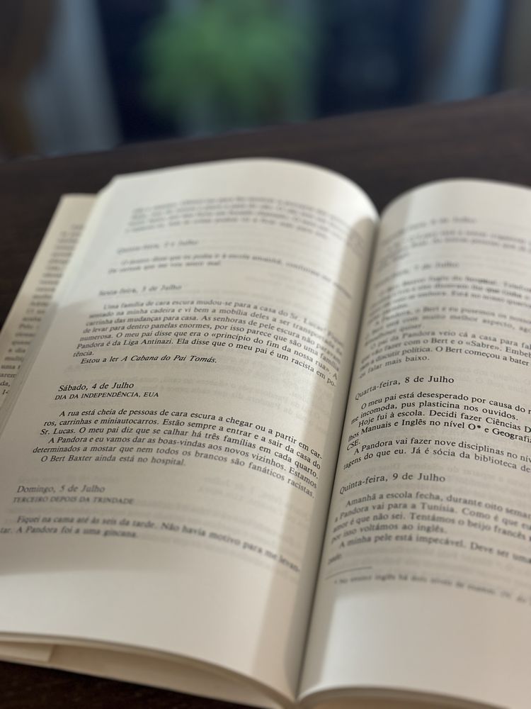 O Diário Secreto de Adrian Mole aos 13 anos e 3/4 - Sue Townsend