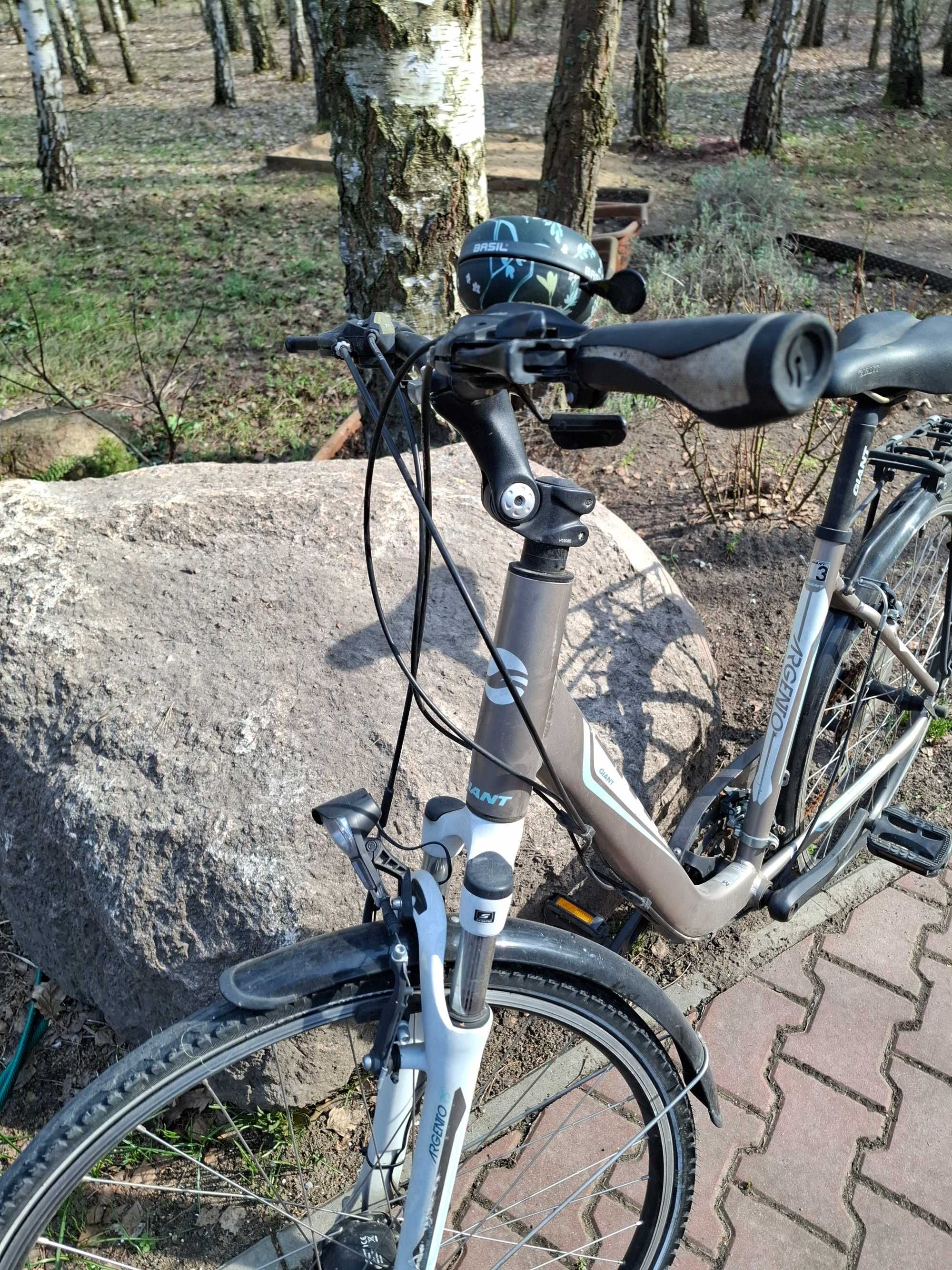 Rower damka Giant Argento