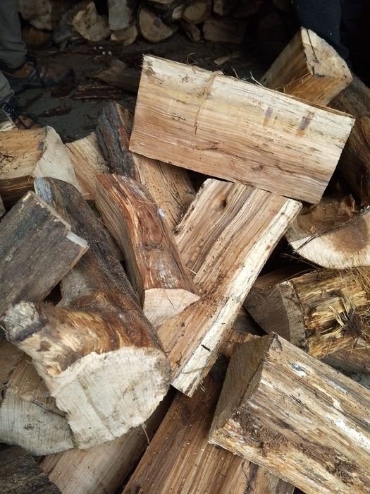 Sprzedam drewno kominkowe