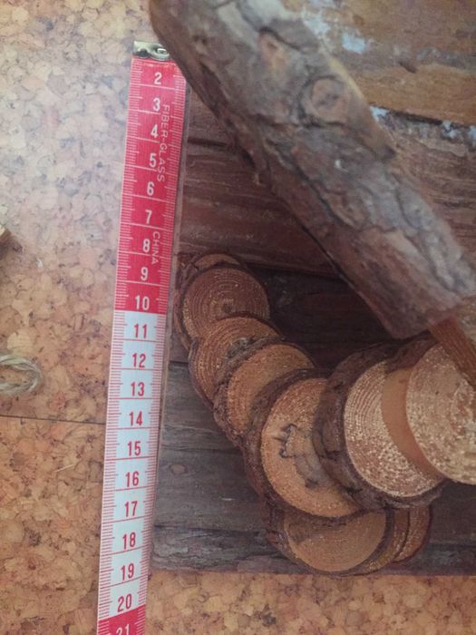 casa de madeira para hamster ou pequeno roedor.