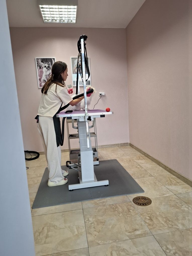 Fryzjer /Groomer dla psów Zagnańsk