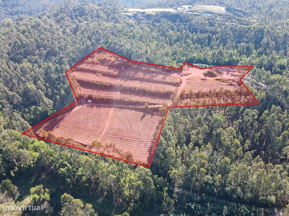 Terreno  para venda