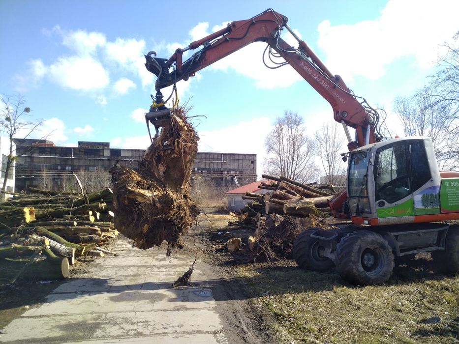 Wycinka drzew, koszeni , usuwanie pni, mulczer Cały Śląsk