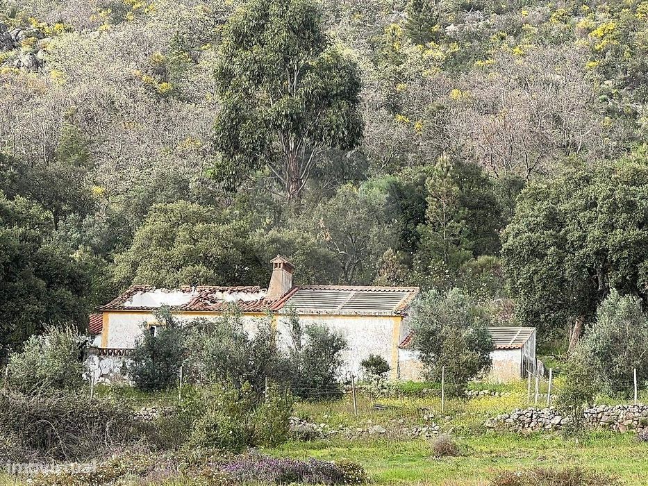 Quinta T3 para venda