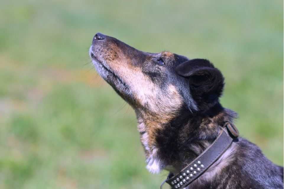 Rafia - ciekawa świata, choć jeszcze troszkę zdystansowana