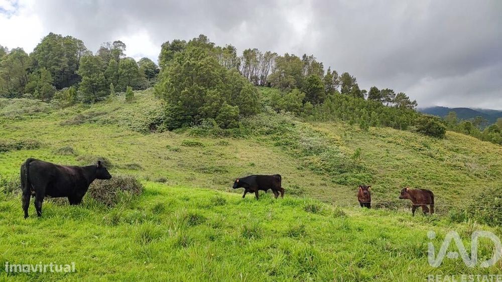 Terreno em Povoação de 142408,00 m2