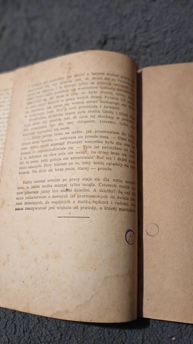 Książka,,Matka i syn"Albin Bobruk