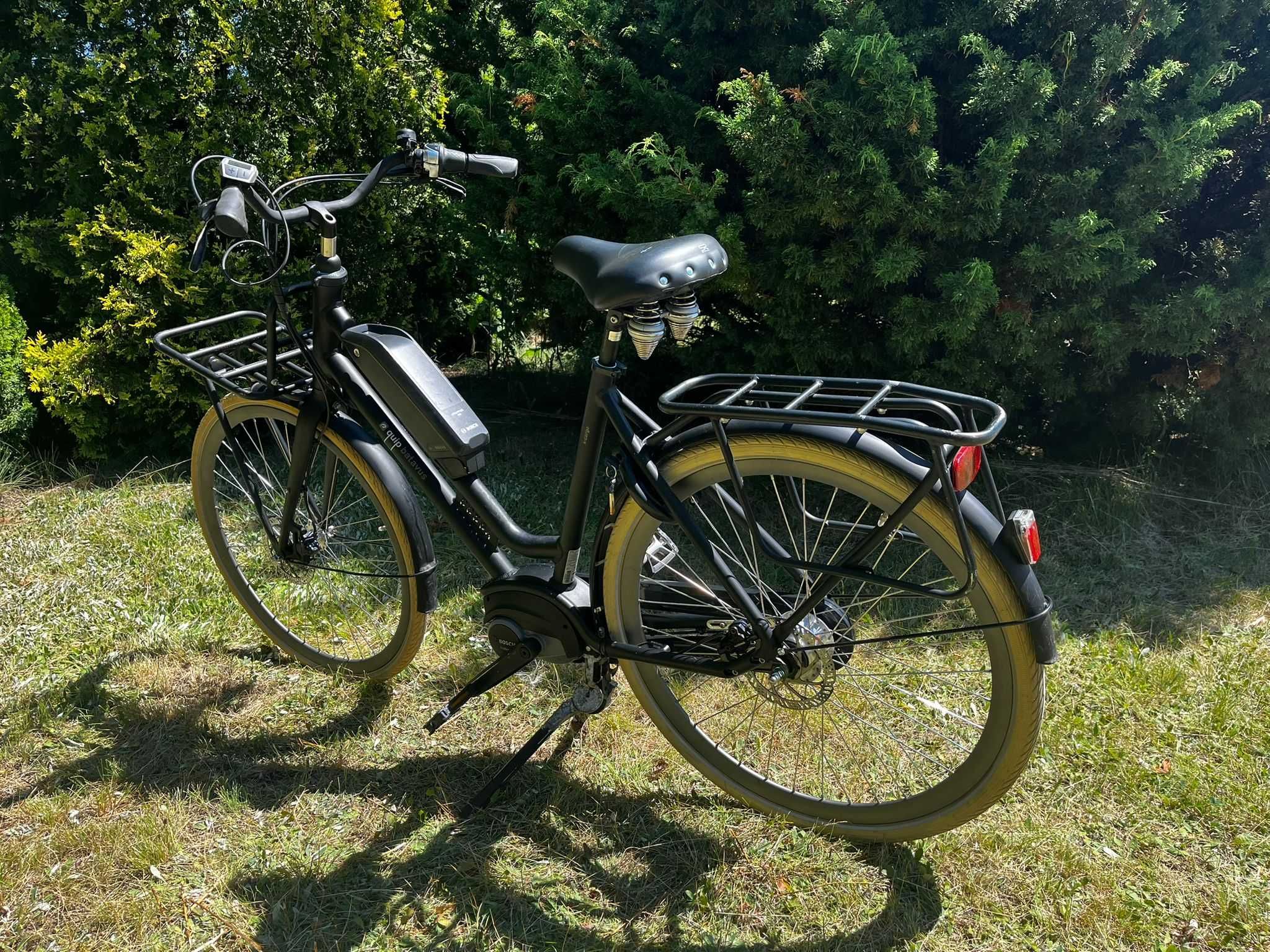 Rower Elektryczny Damski Batavus X-Cargo Silnik Centralny Bosch