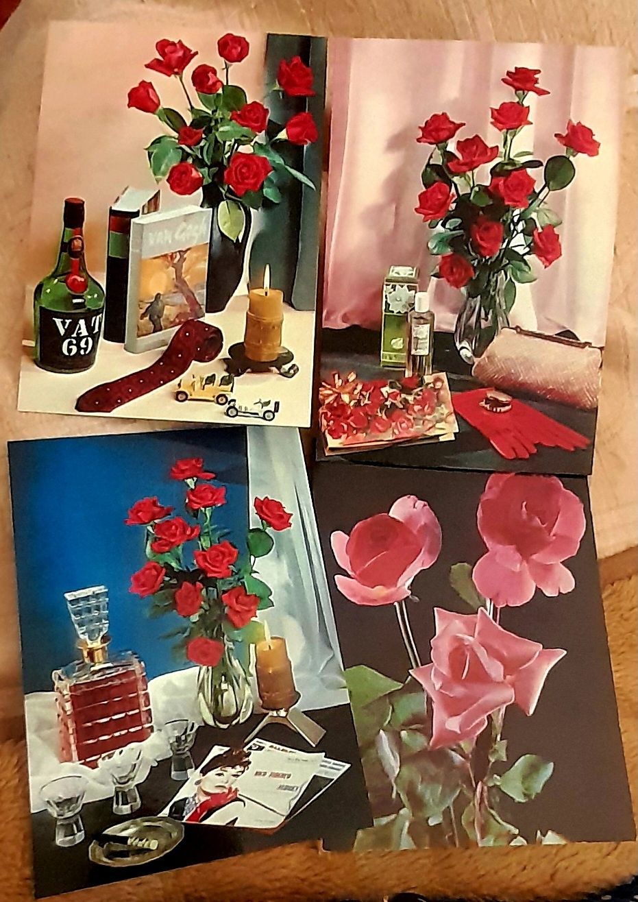 V postais a 0,45€ cavalos,flores, etc