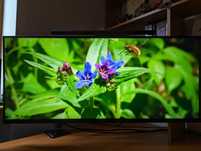 Ігровий Moнітop 40" MSI MAG401QR (на гарантії) (ultrawide)