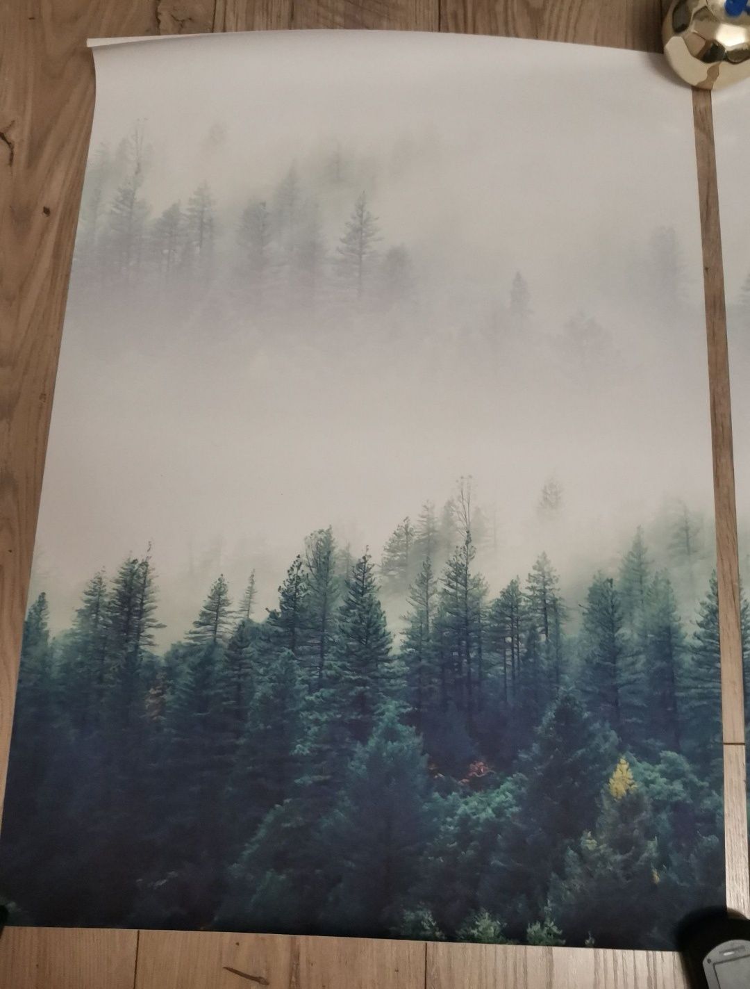 Tryptyk 50x70 druk na płótnie jodła las krajobraz