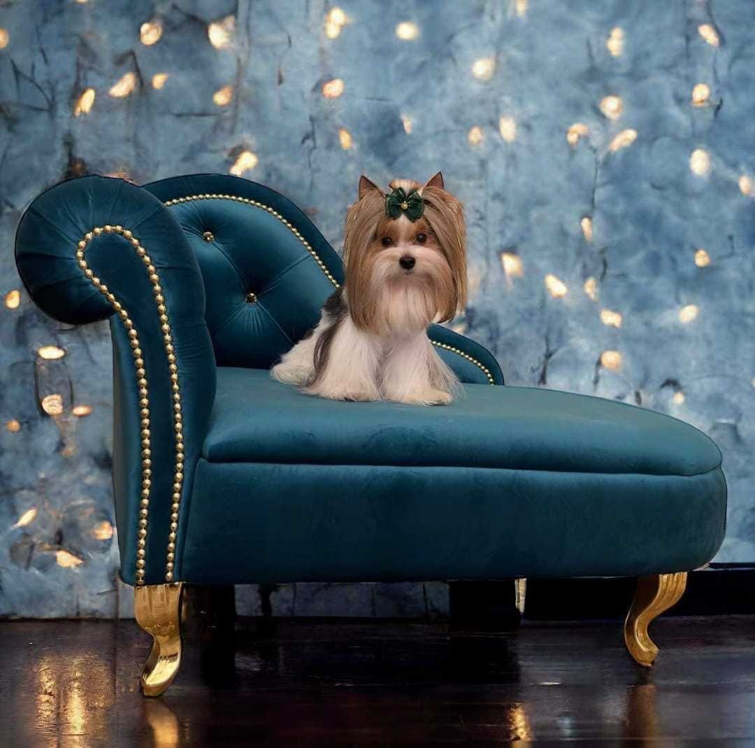 Szezlong kanapa sofa legowisko posłanie dla psa 80 kolorów