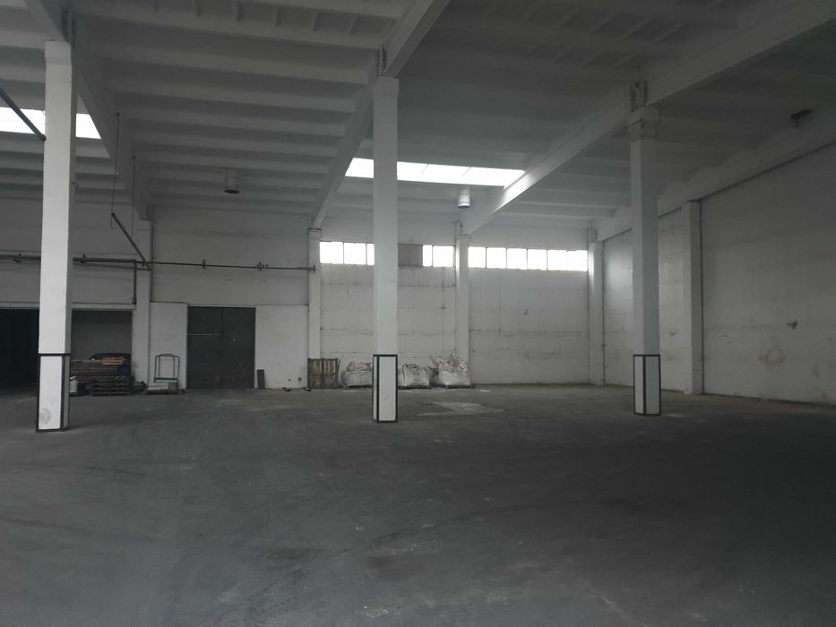 Hale produkcyjno-magazynowe oddam w wynajem