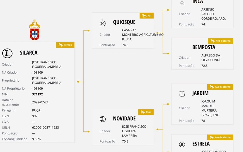 Poldra lusitana pura registada