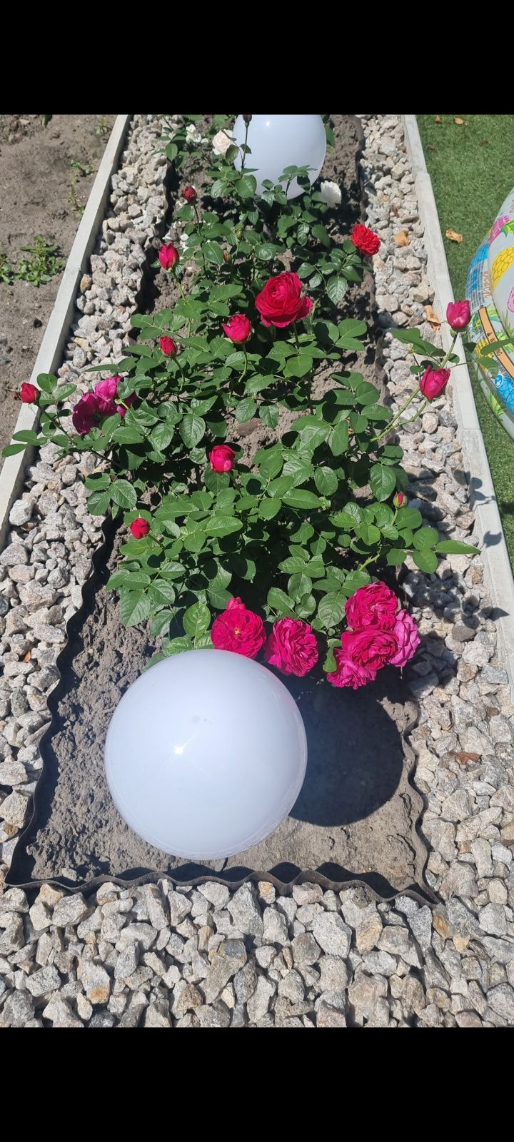 Продам дом в самом  центре( Горветка)