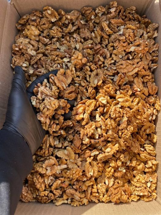 Продам грецькі (волоські) горіхи чищені