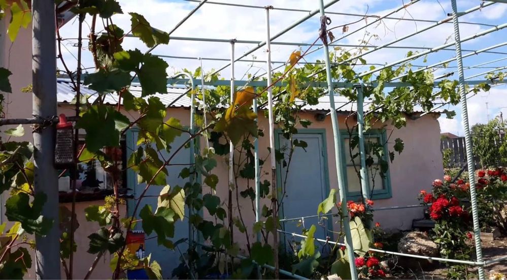 Продам будинок з земельною ділянкою