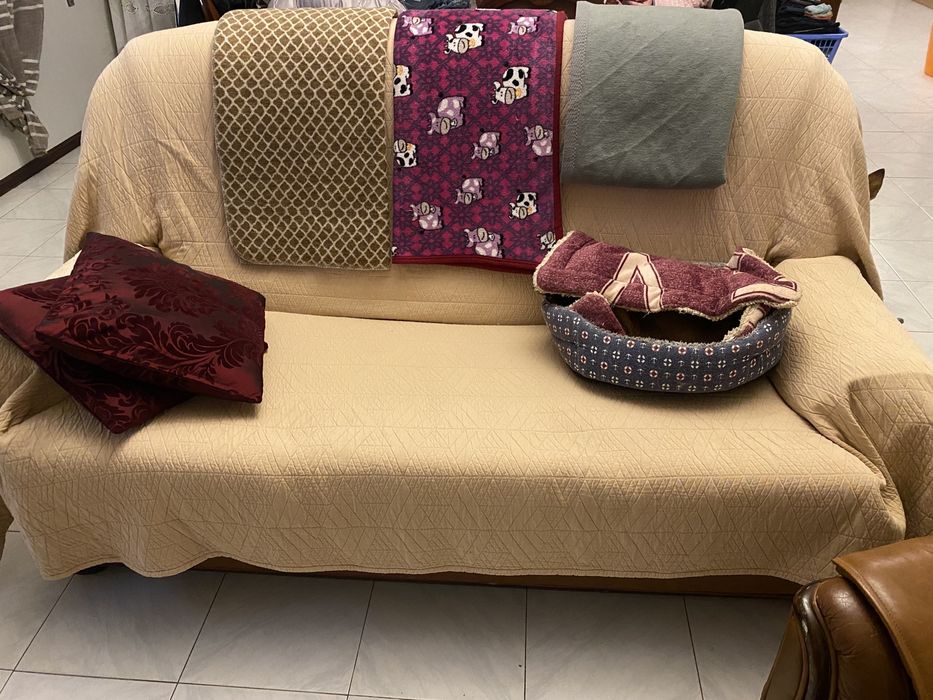 Sofás de sala todos de pele