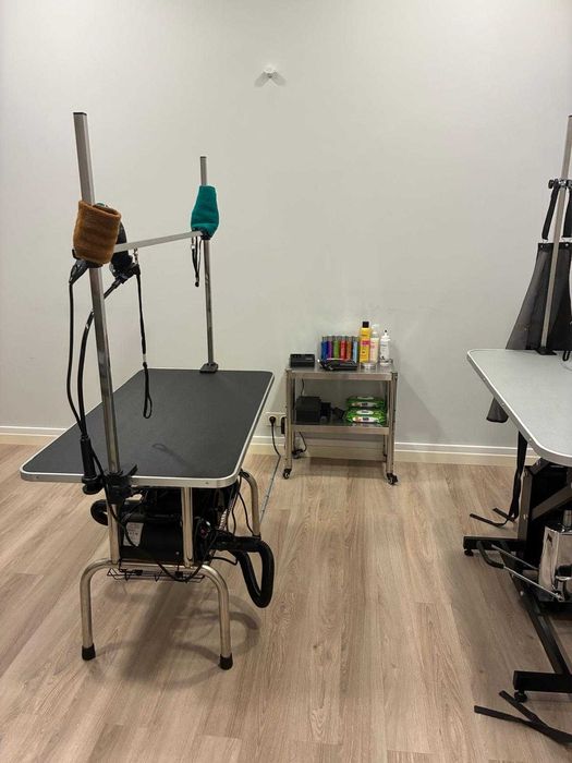 Banhos e Tosquias - Venda de empresa