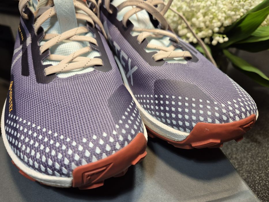 Кросівки Nike React Pegasus Trail 4 Gore-Tex Waterproof Trail Running