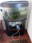 Aquário 80 cm Curvo, acessórios, areia e plantas