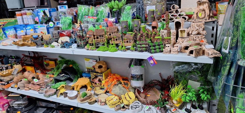 Akwarium aquaterrarium 80cm dla żółwia wodno lądowego.