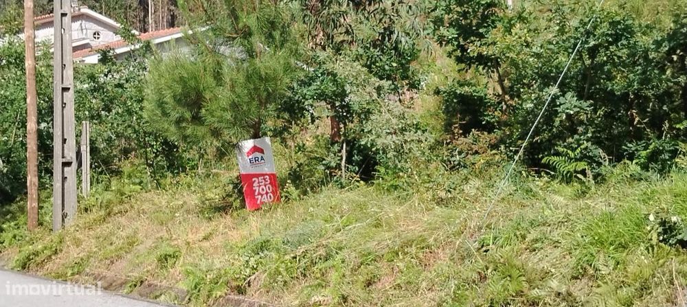 Terreno com 3.360 m2 em Arnozela