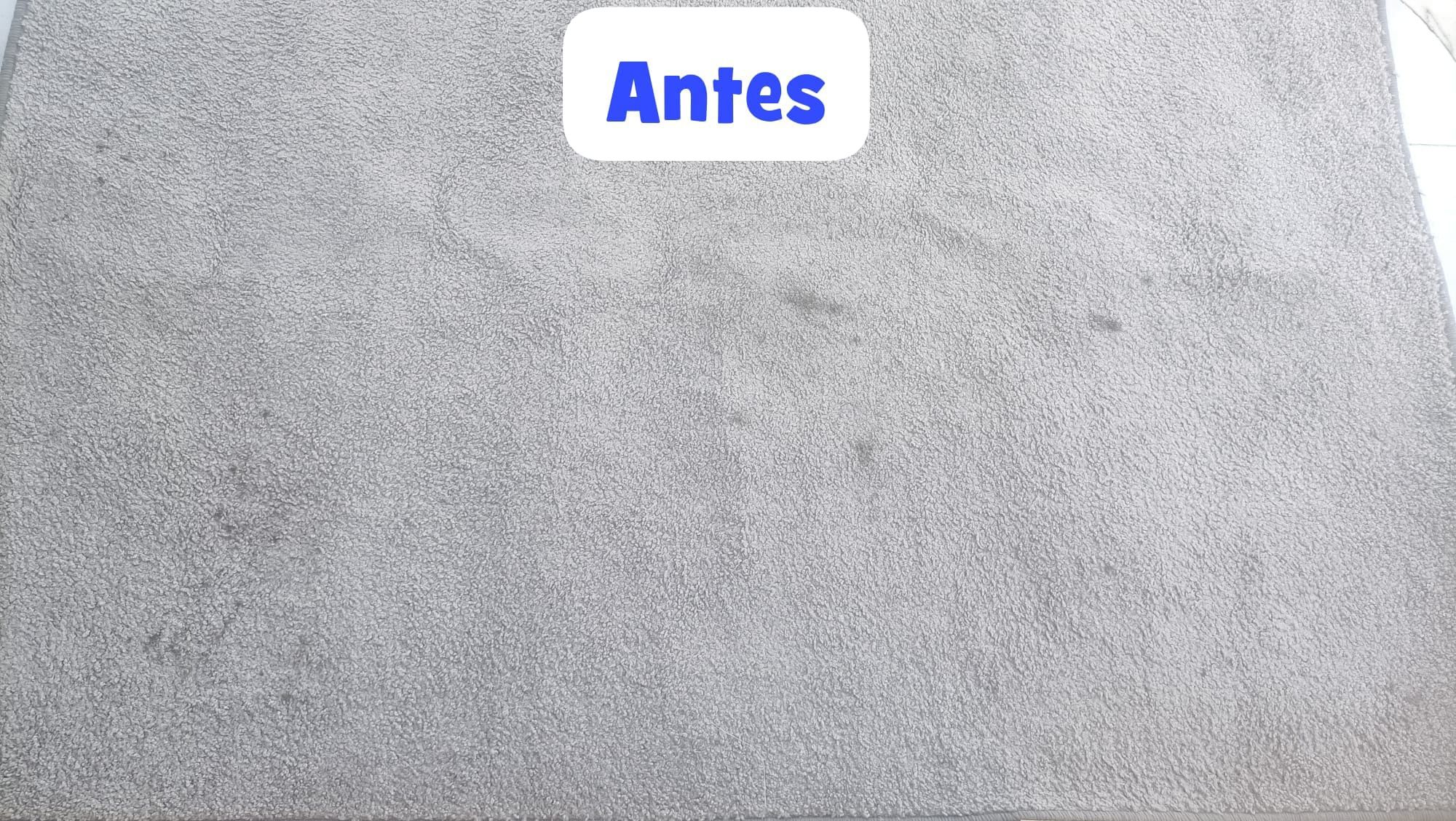Limpeza e higienização de estofos
