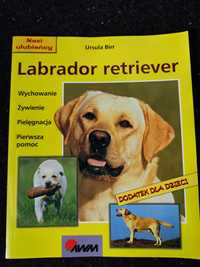 Książka - Labrador retriever / Ursula Birr