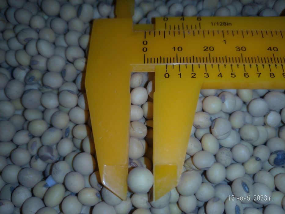 Соя Канадський сорт "Венус"