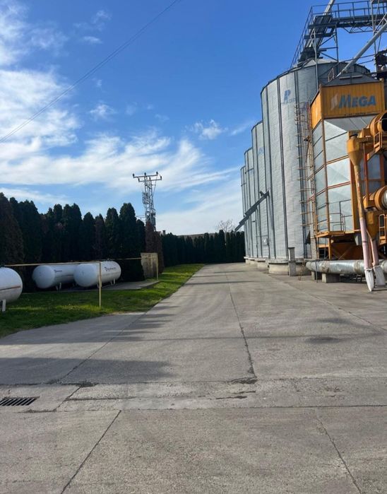 Елеватор в Сербії Агрокомплекс Агропідприємство Функуіонуючий Бізнес