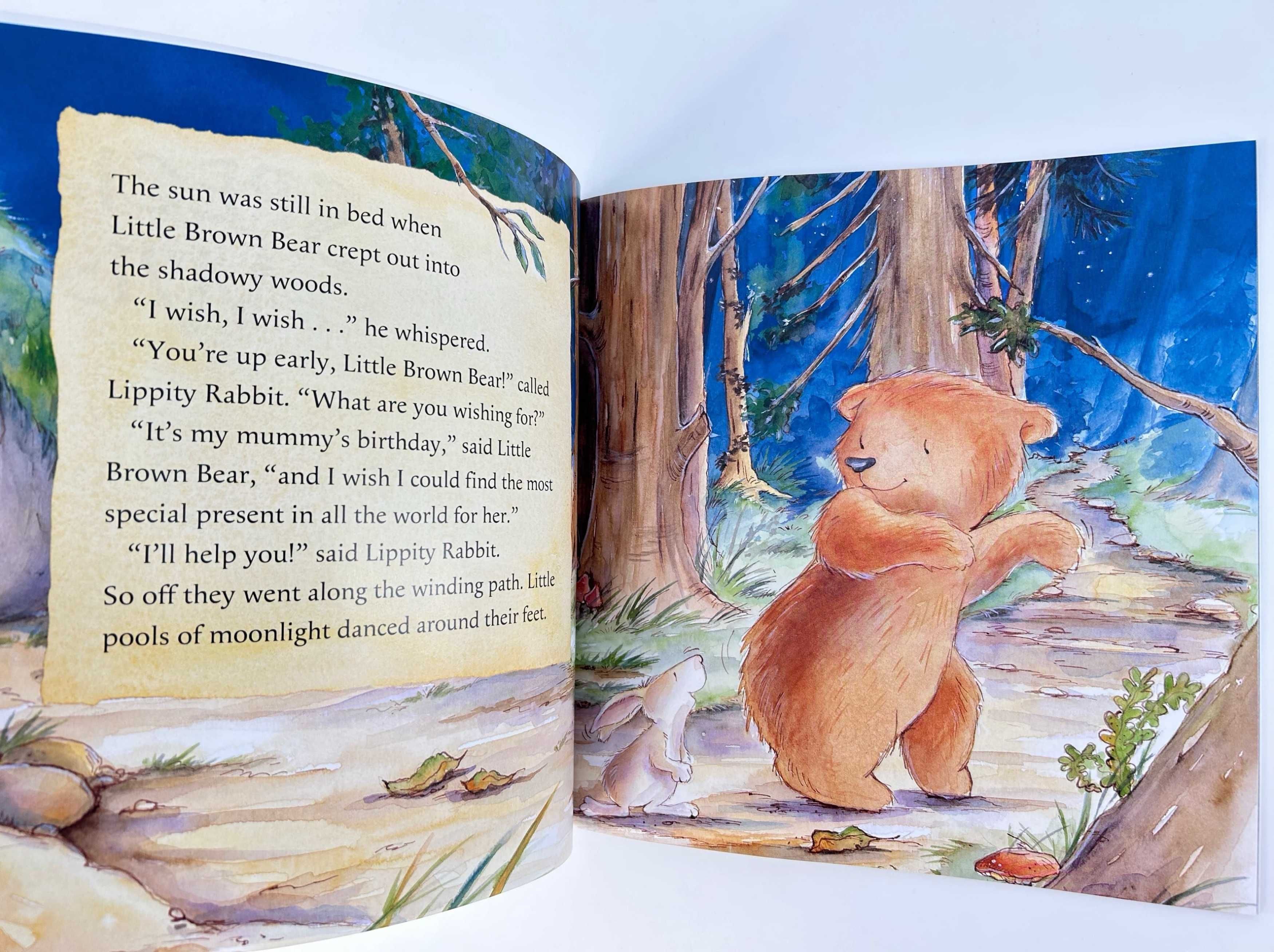 NOWA Little Bear's Special Wish	Gillian Lobel