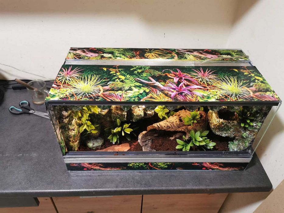Terrarium 60x30x30 tropikalne dla gekon