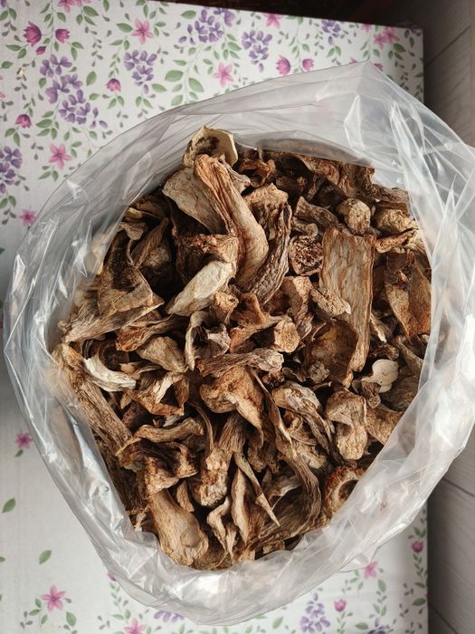 Borowik prawdziwek suszony - tylko korzenie