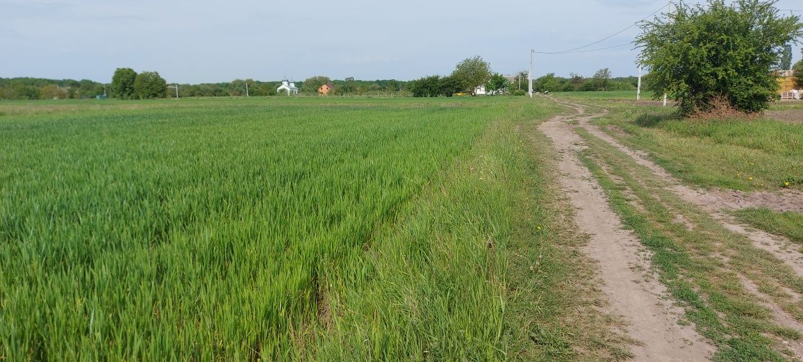 Продам велику ділянку для будівництва неподалік Вінниці (без комісії)