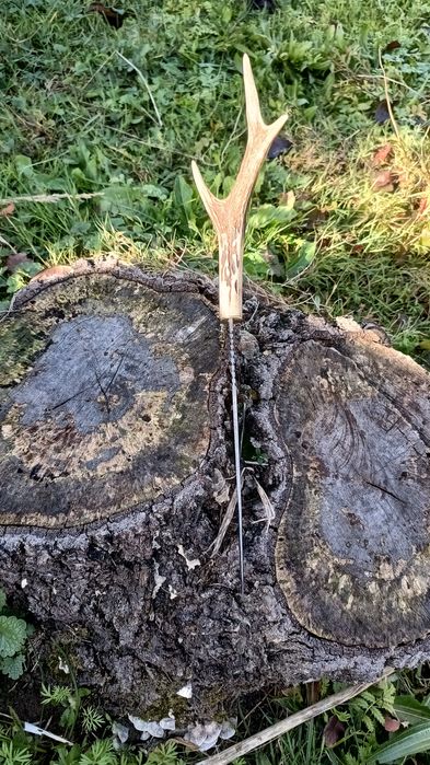 Nóż ręcznie kuty stal wysokowęglowa  militaria róg Bowie