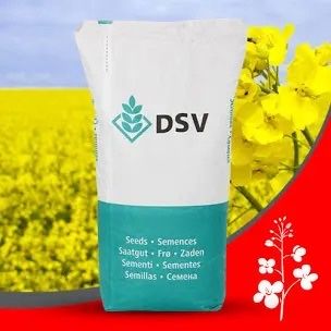 Озимий ріпак Крокодил DSV