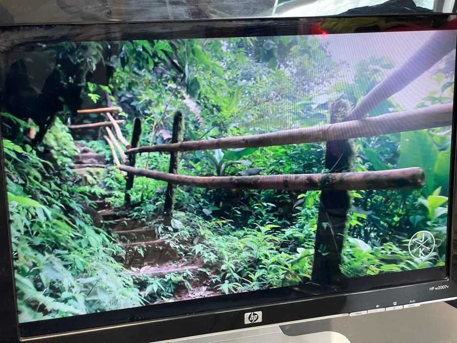 Monitor Hp W2007V 20.1’’ Widescreen Flat 1680 x 1050