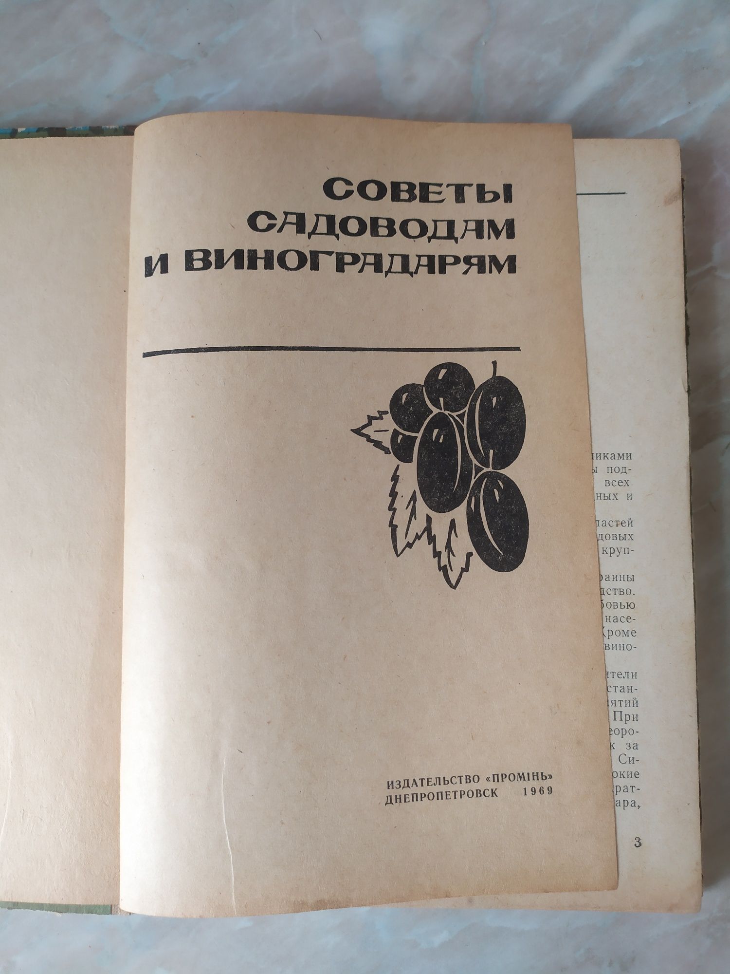 Советы садоводам и виноградарям. Бджільництво