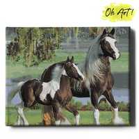 Malowanie po numerach, 40x50 cm - Piękne konie / Oh-Art