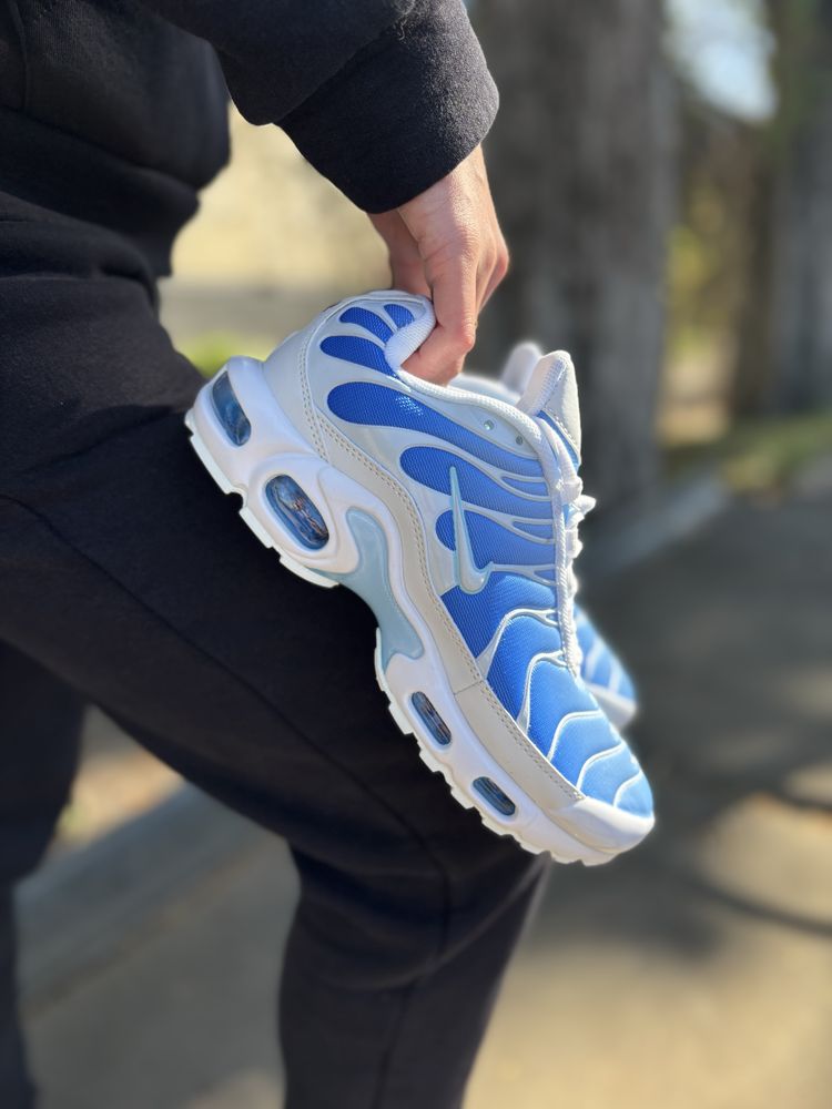 Жіночі кросівки Nike Air Max Tn Plus Grey White Black Blue